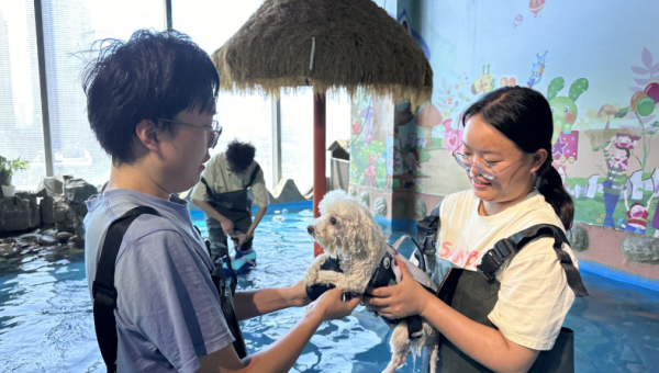 甘肅文旅科技公司“漠跡寵旅”線下體驗店正式營業