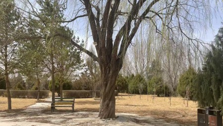 武威沙漠公園